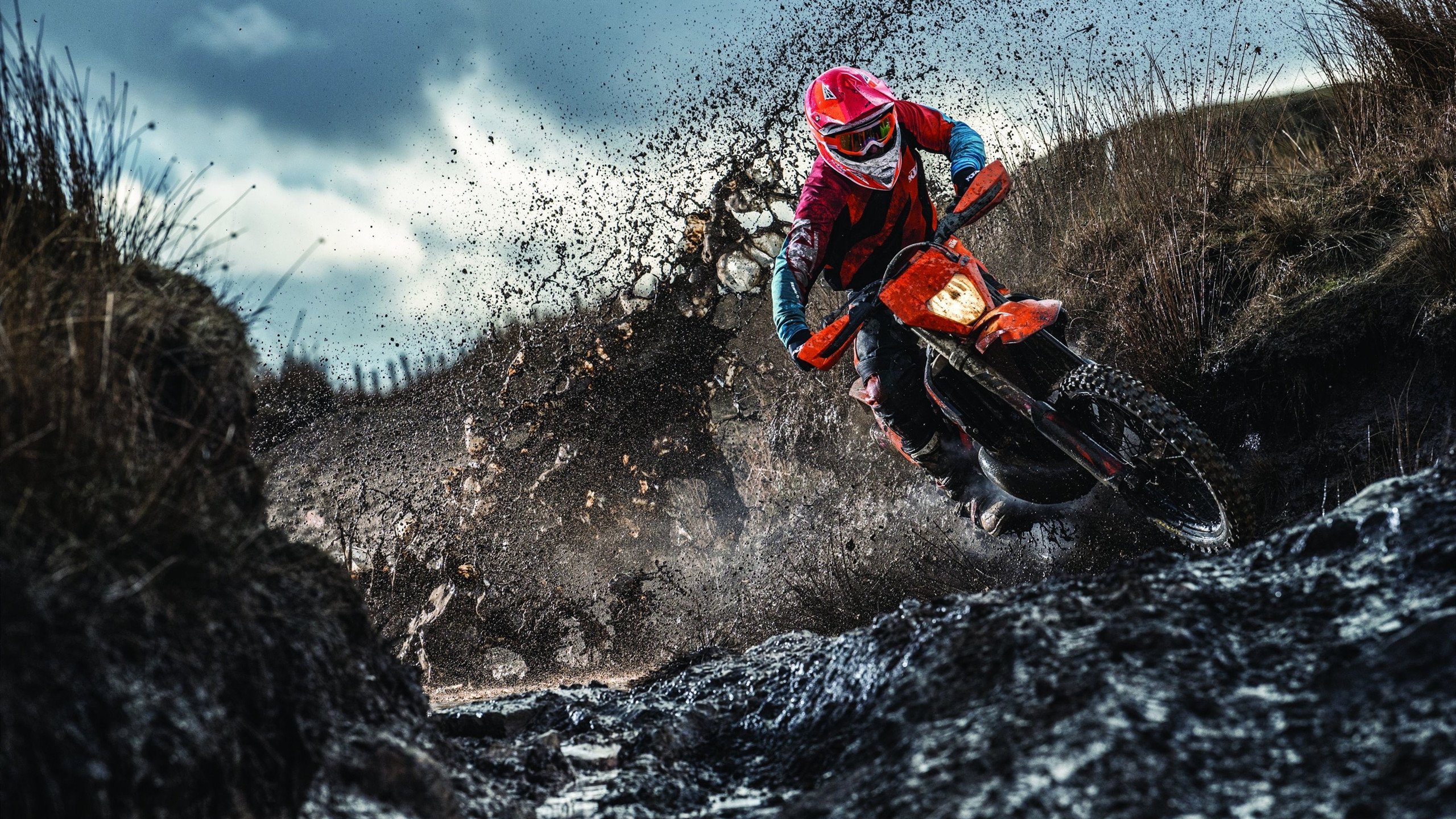 兼收并蓄：联盟中多元文化的精彩展现，兼收并蓄读音是什么意思